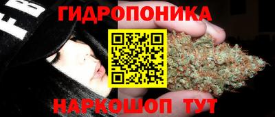 MDMA Можга