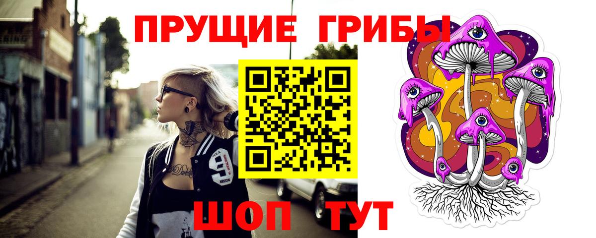 Галлюциногенные грибы прущие грибы  Псилоцибиновые грибы GOLDEN TEACHER  цены наркотик  Богданович  Вход с VPN 